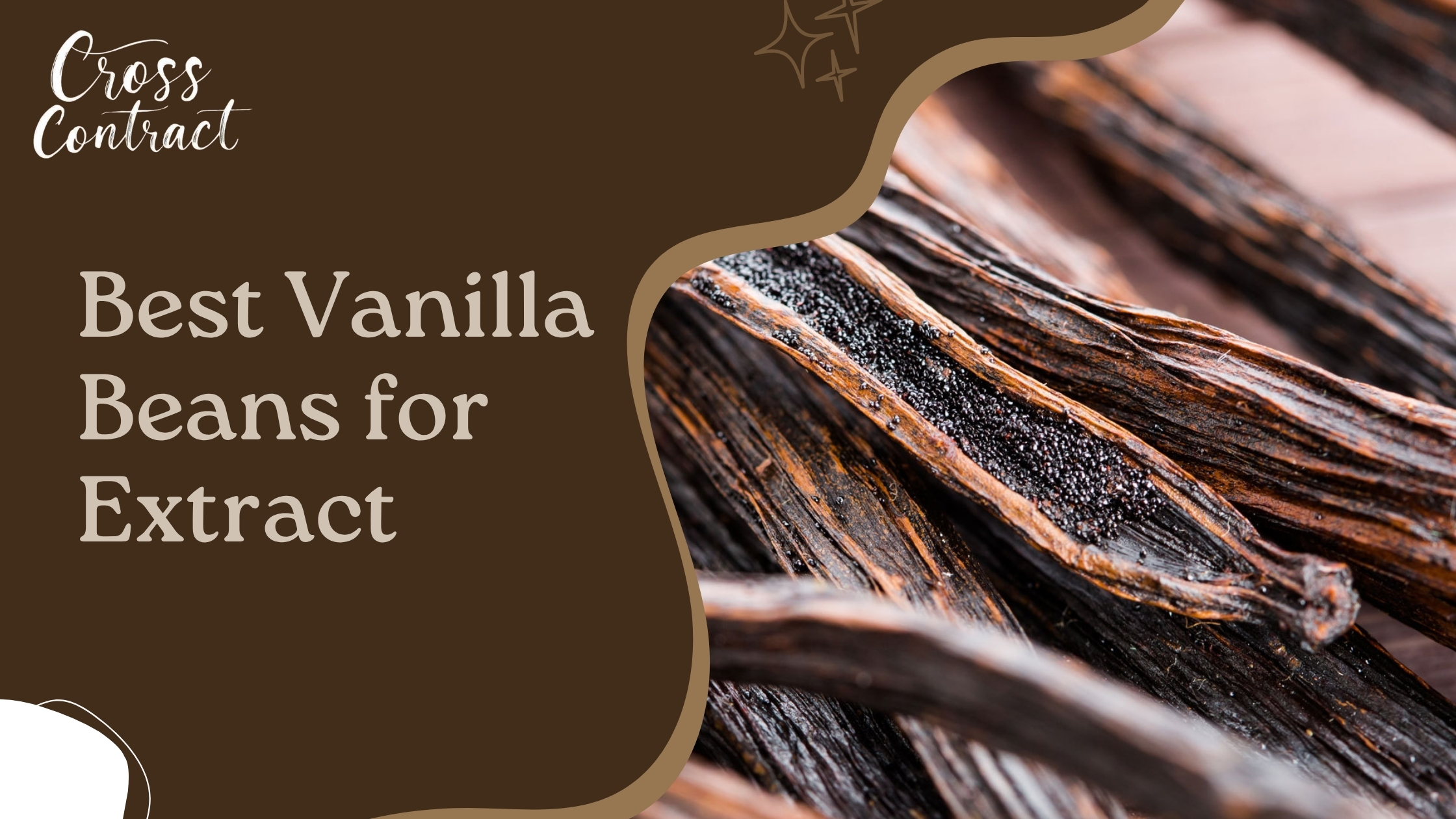 Wholesale Agricultural Supplier | Cocoa, Vanilla & Charcoal